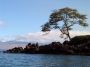 02KeaLani - 22